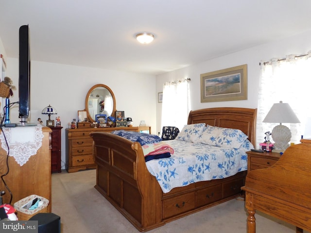 carpeted bedroom with multiple windows