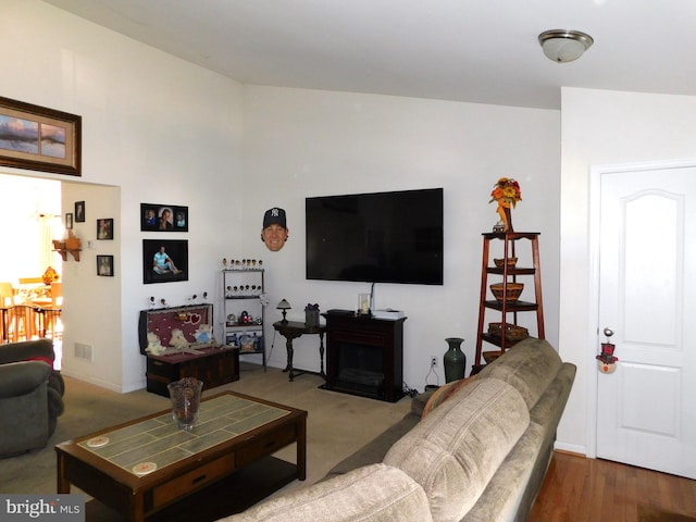 living room featuring wood-type flooring