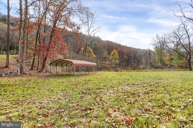 view of yard with a carport