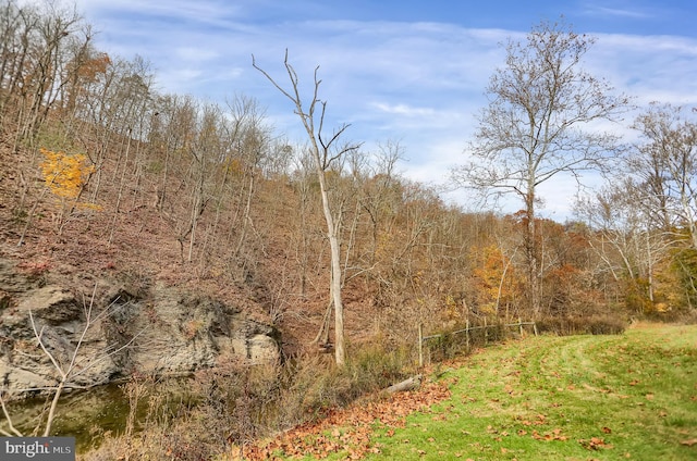 view of local wilderness