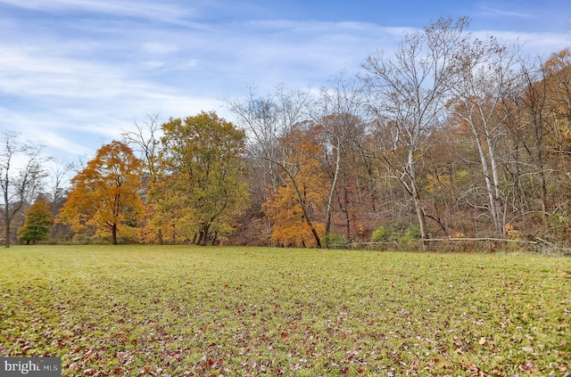 view of yard