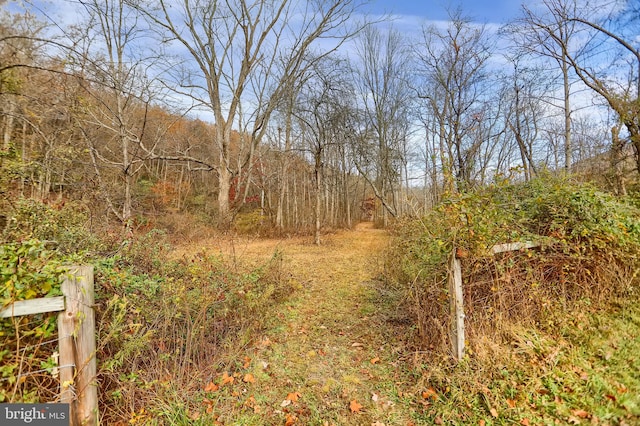 view of local wilderness