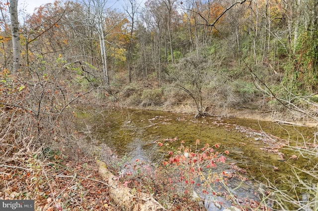 view of landscape