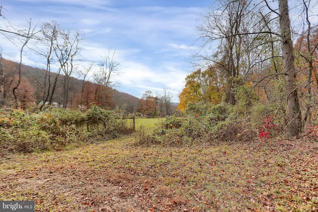 view of yard featuring a mountain view