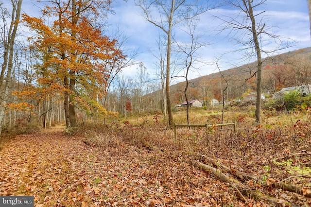 view of nature featuring a mountain view