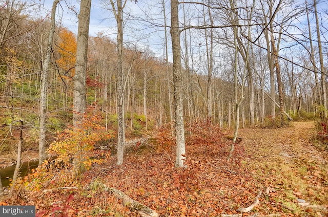 view of landscape