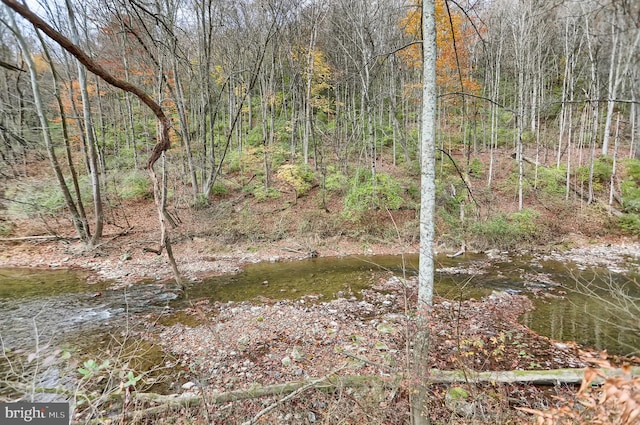 view of local wilderness