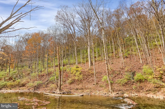 view of local wilderness