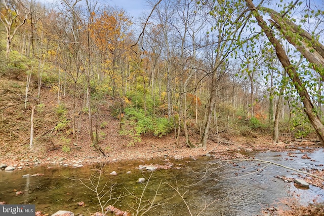 view of local wilderness