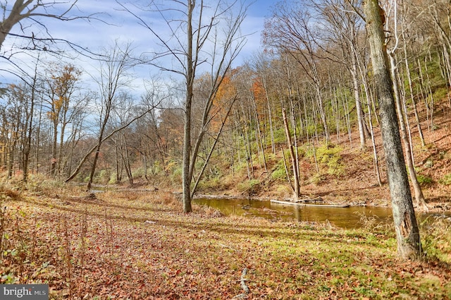 view of local wilderness with a water view