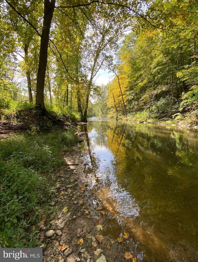 view of local wilderness with a water view