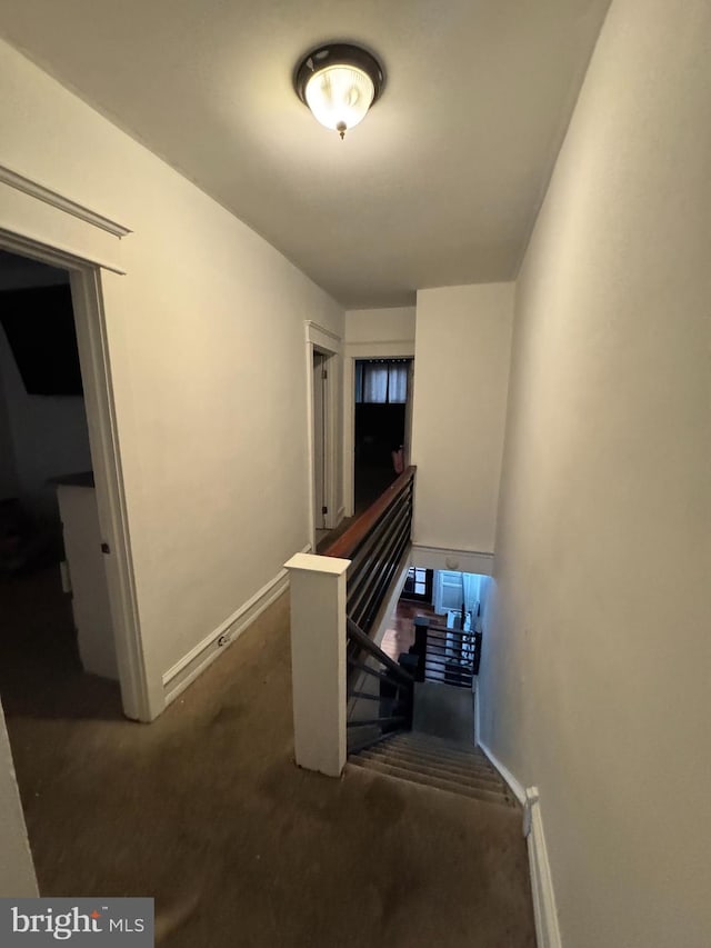 staircase with carpet floors