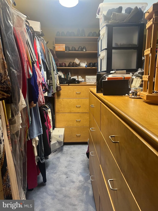 walk in closet with dark colored carpet