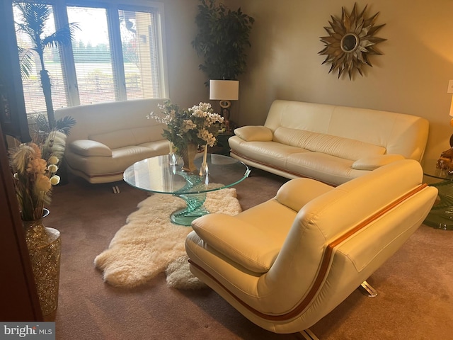 living room featuring carpet