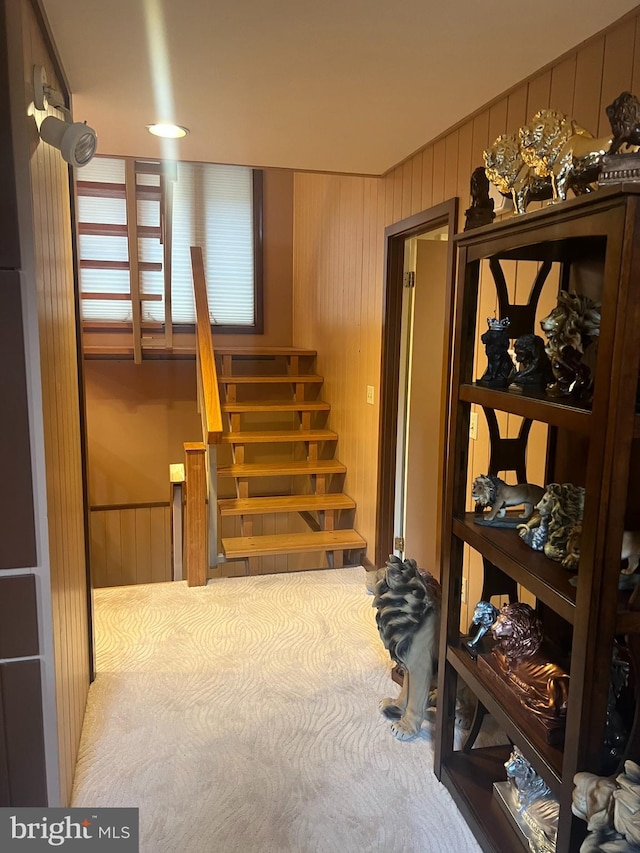 stairway featuring wooden walls and carpet floors