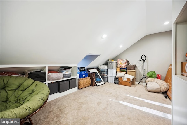 additional living space featuring lofted ceiling and carpet floors