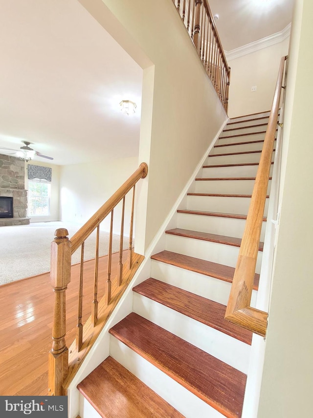 stairway featuring hardwood / wood-style floors and a fireplace