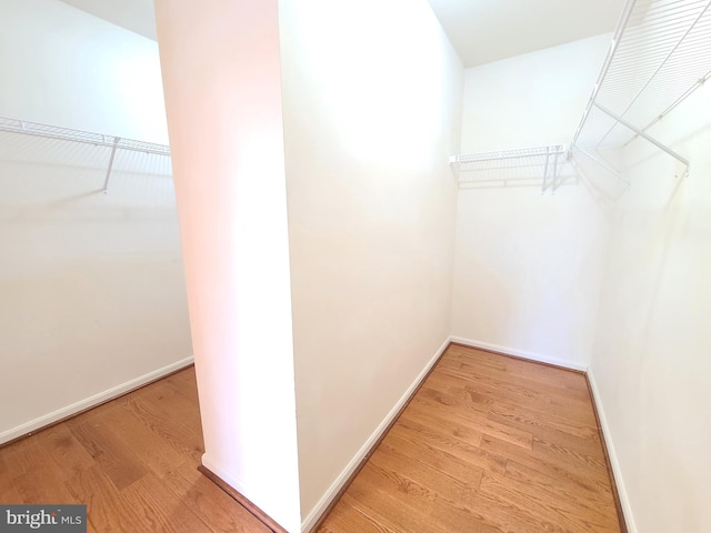 walk in closet featuring light wood-type flooring