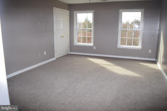 531 Washout Ln, Winchester, VA 22603 - carpeted empty room with baseboards