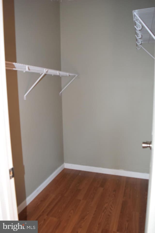 spacious closet featuring hardwood / wood-style floors