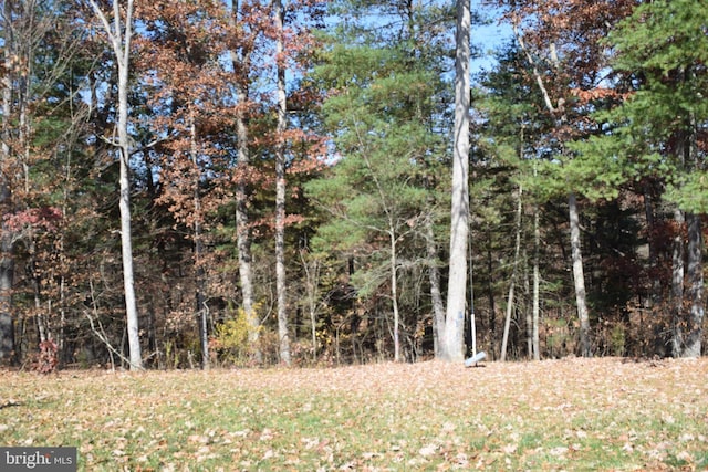 531 Washout Ln, Winchester, VA 22603 - view of local wilderness