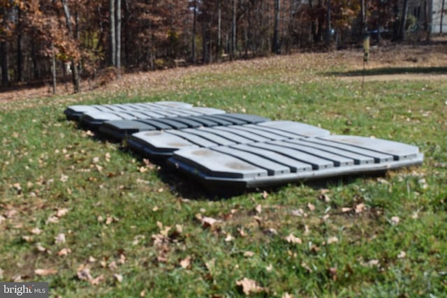 531 Washout Ln, Winchester, VA 22603 - view of yard