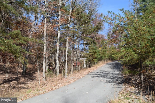 531 Washout Ln, Winchester, VA 22603 - view of street