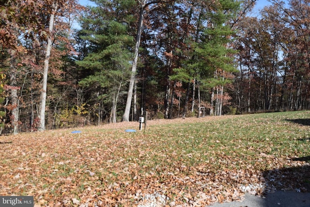 531 Washout Ln, Winchester, VA 22603 - view of yard