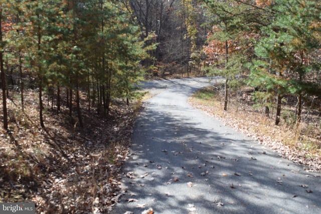 531 Washout Ln, Winchester, VA 22603 - view of street featuring a forest view