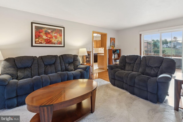 living room featuring light hardwood / wood-style flooring