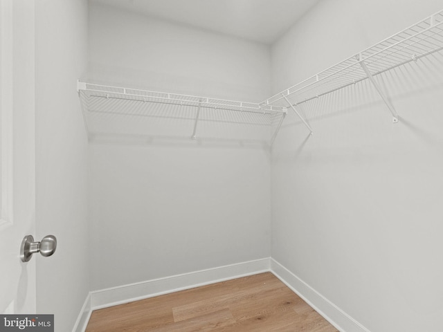 spacious closet featuring hardwood / wood-style floors