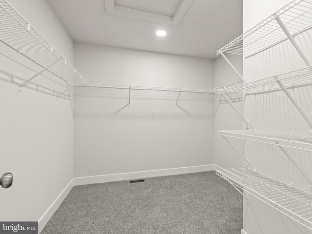 spacious closet featuring carpet flooring