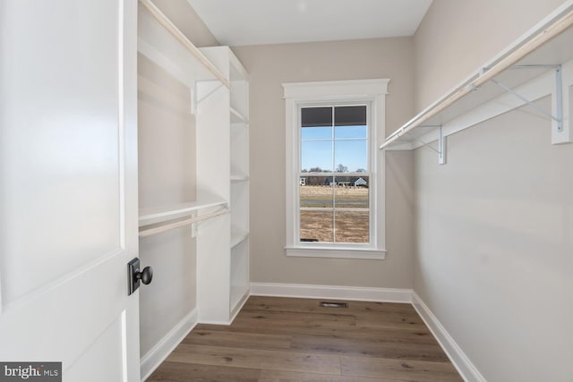 spacious closet featuring wood-type flooring