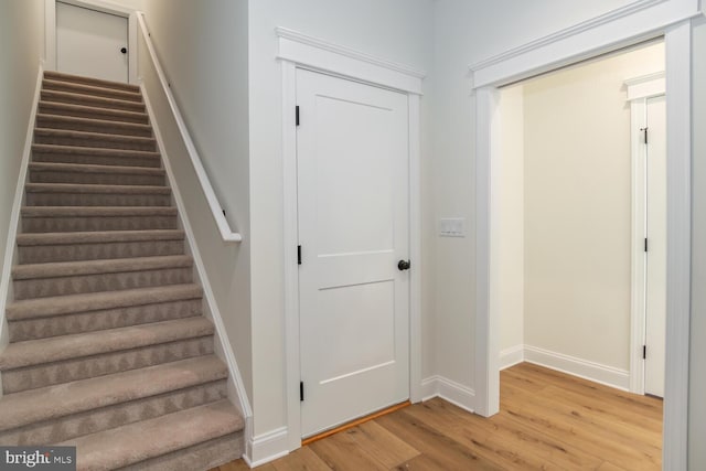 stairway featuring wood-type flooring