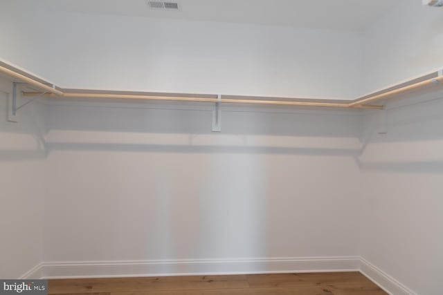 walk in closet featuring hardwood / wood-style floors