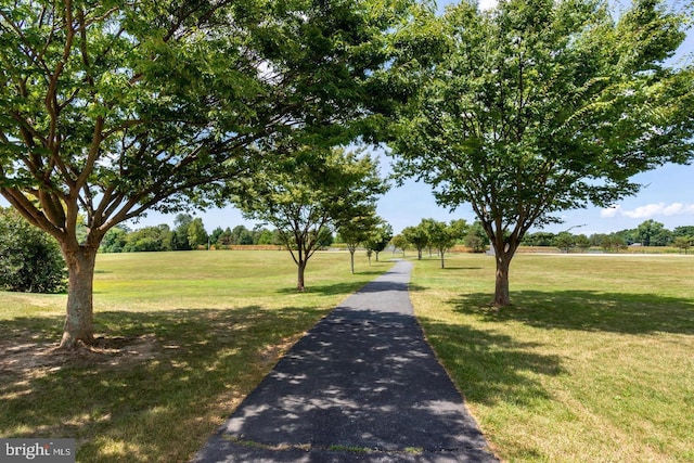 view of property's community with a lawn