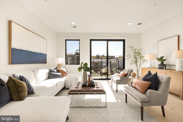 living room with hardwood / wood-style floors