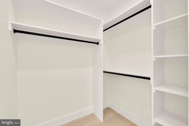 spacious closet with wood-type flooring