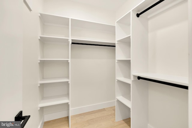 walk in closet with light wood-type flooring