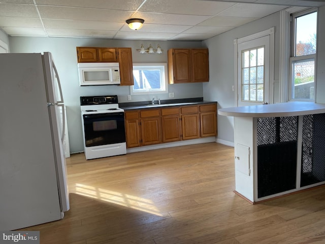 kitchen featuring white appliances, sink, and light hardwood / wood-style flooring