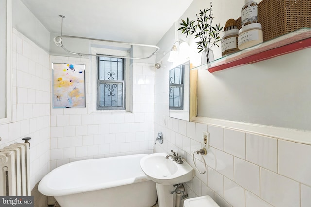 bathroom with tile walls, radiator heating unit, a bathtub, and sink