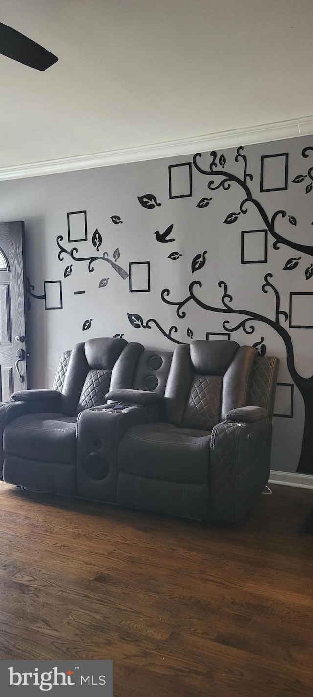 cinema room with crown molding and dark hardwood / wood-style flooring