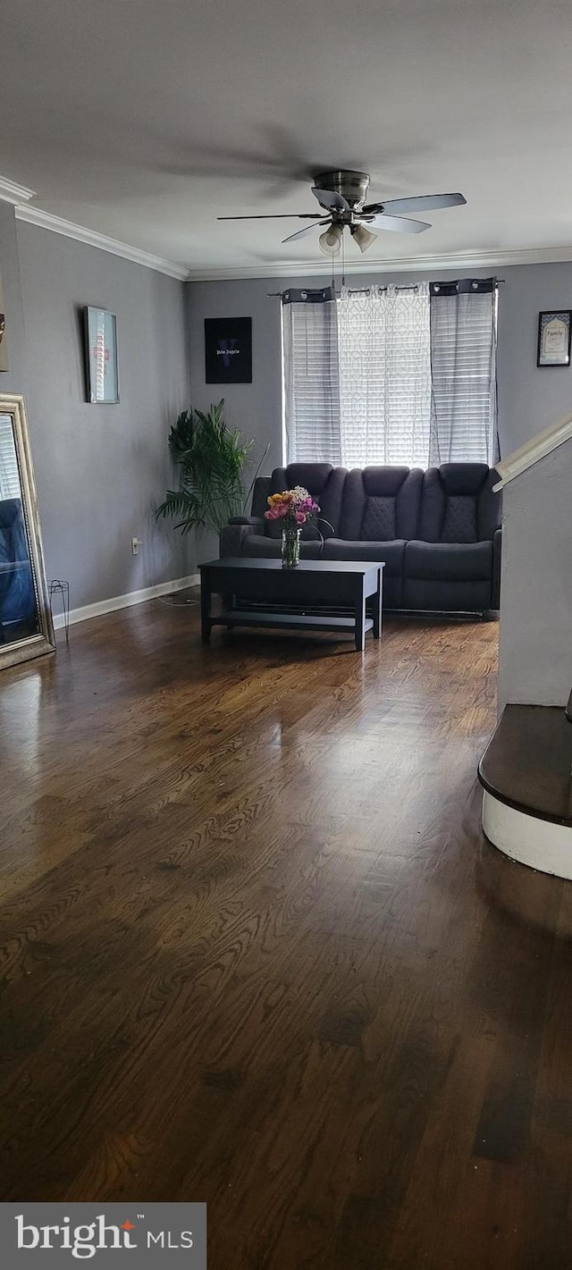 living room featuring ceiling fan, dark hardwood / wood-style floors, and crown molding