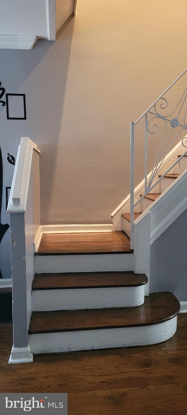 staircase with hardwood / wood-style flooring