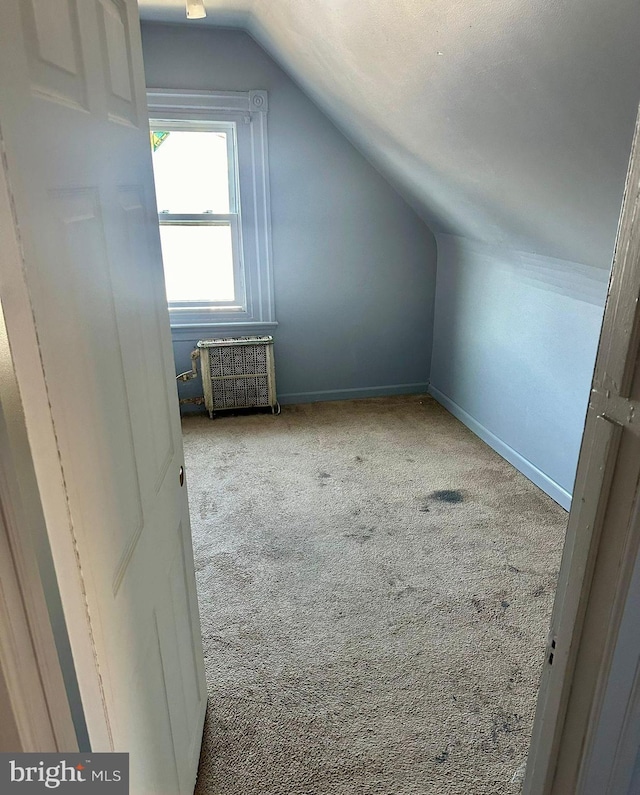 additional living space with light colored carpet and lofted ceiling