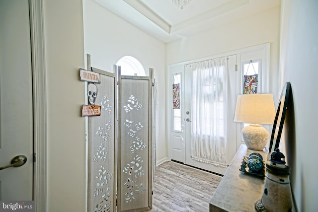 foyer entrance featuring light hardwood / wood-style floors and a raised ceiling