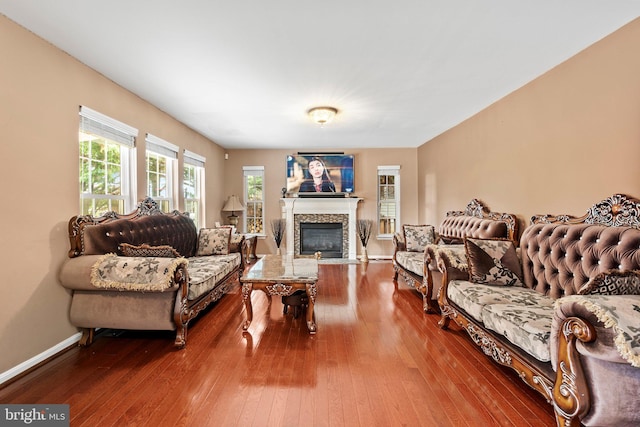 living room with wood-type flooring