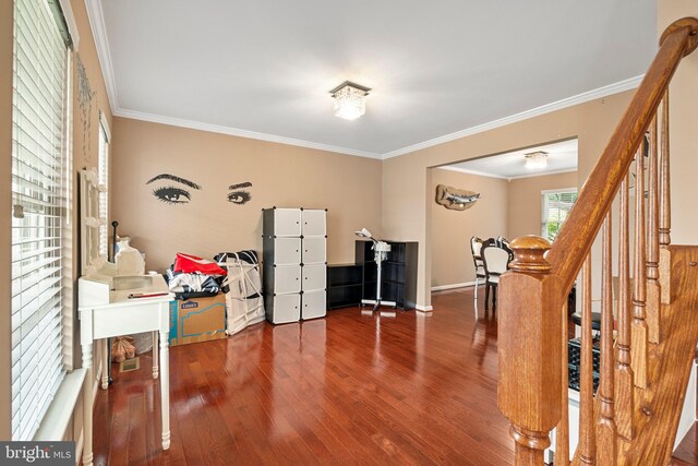 office area with hardwood / wood-style floors and crown molding