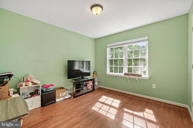 rec room with wood-type flooring