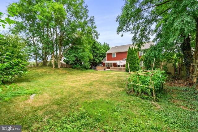 view of yard featuring a wooden deck